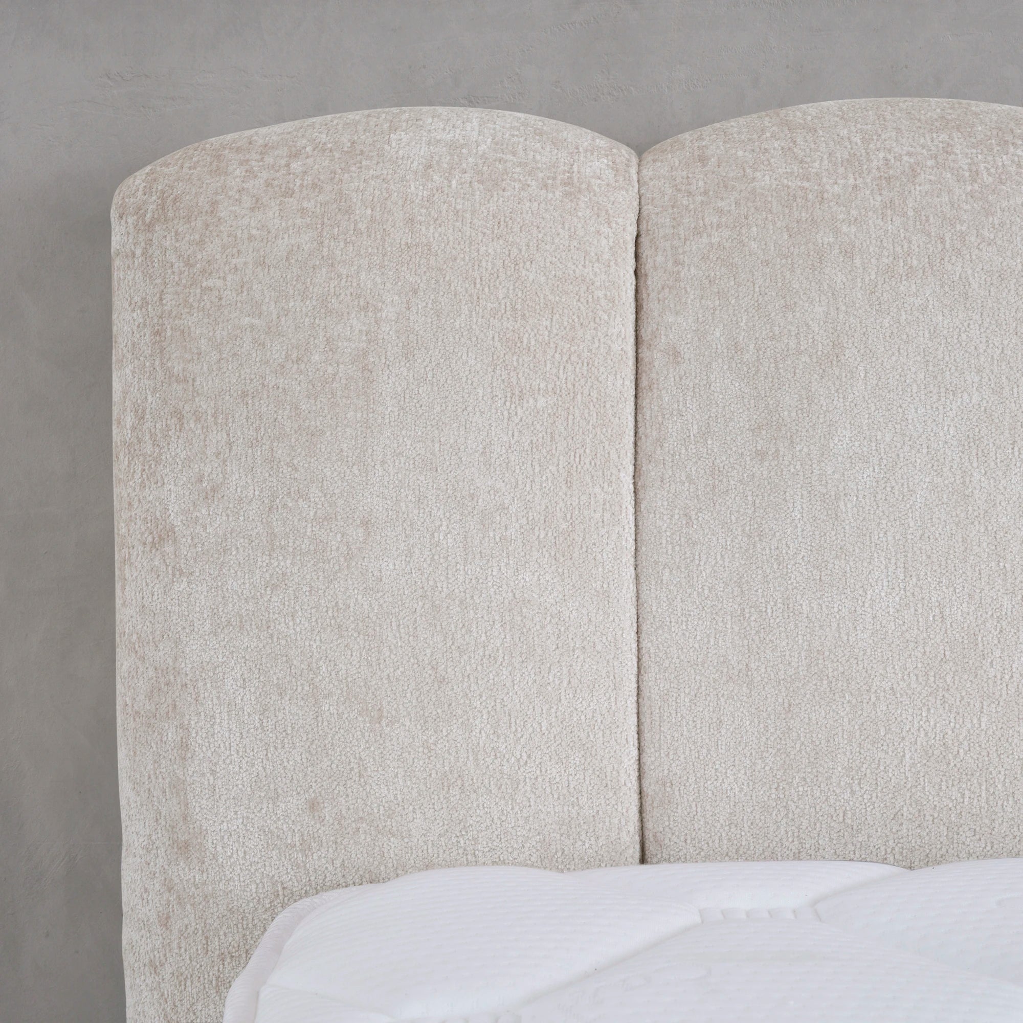 Designer Polsterbett mit Stauraum Teddy