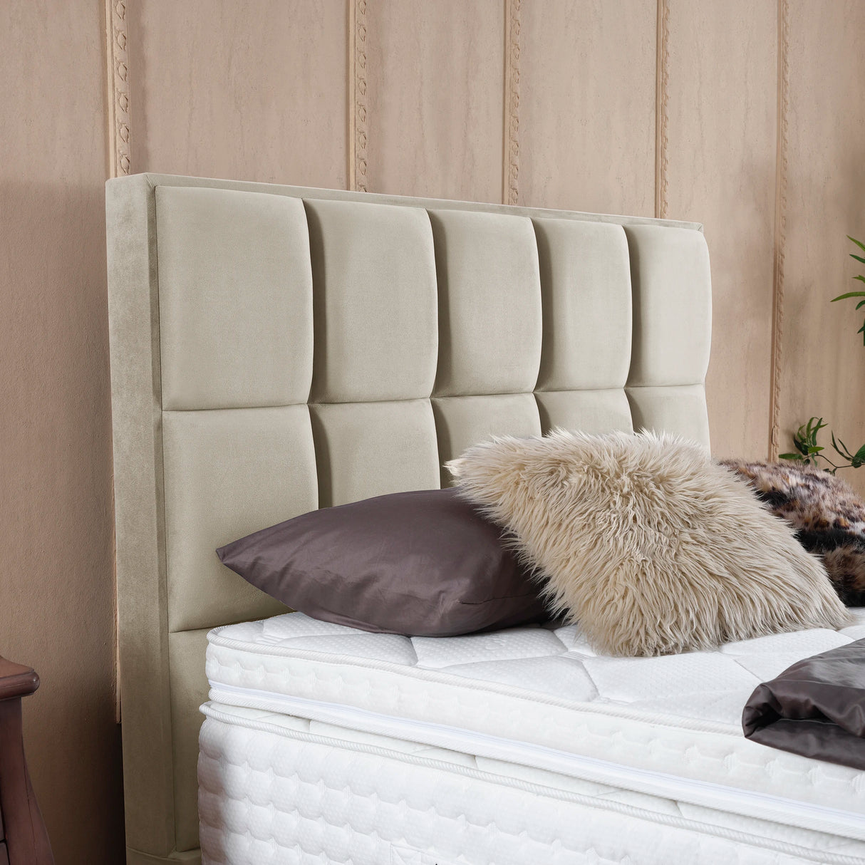 Boxspringbett CASTLE