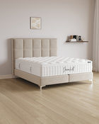 Boxspringbett Castle in Samt