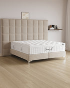 Boxspringbett Castle Long in Samt