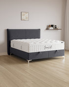 Bett mit Stauraum Catera in Samt