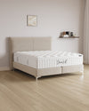 Boxspringbett Catera