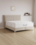Boxspringbett Catera in Samt