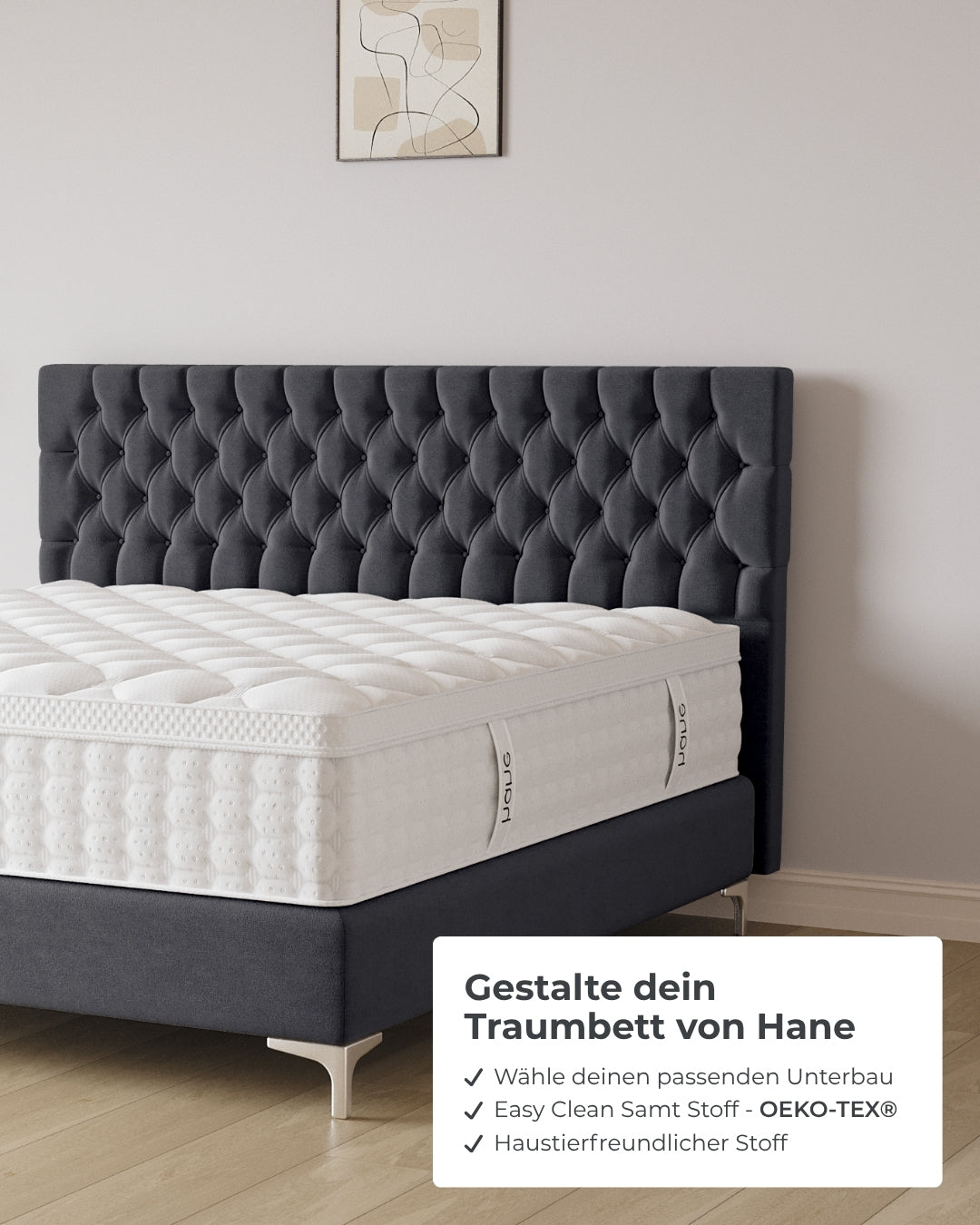 Boxspringbett Chester in Samt