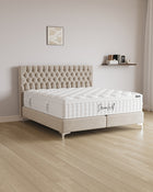 Boxspringbett Chester in Samt