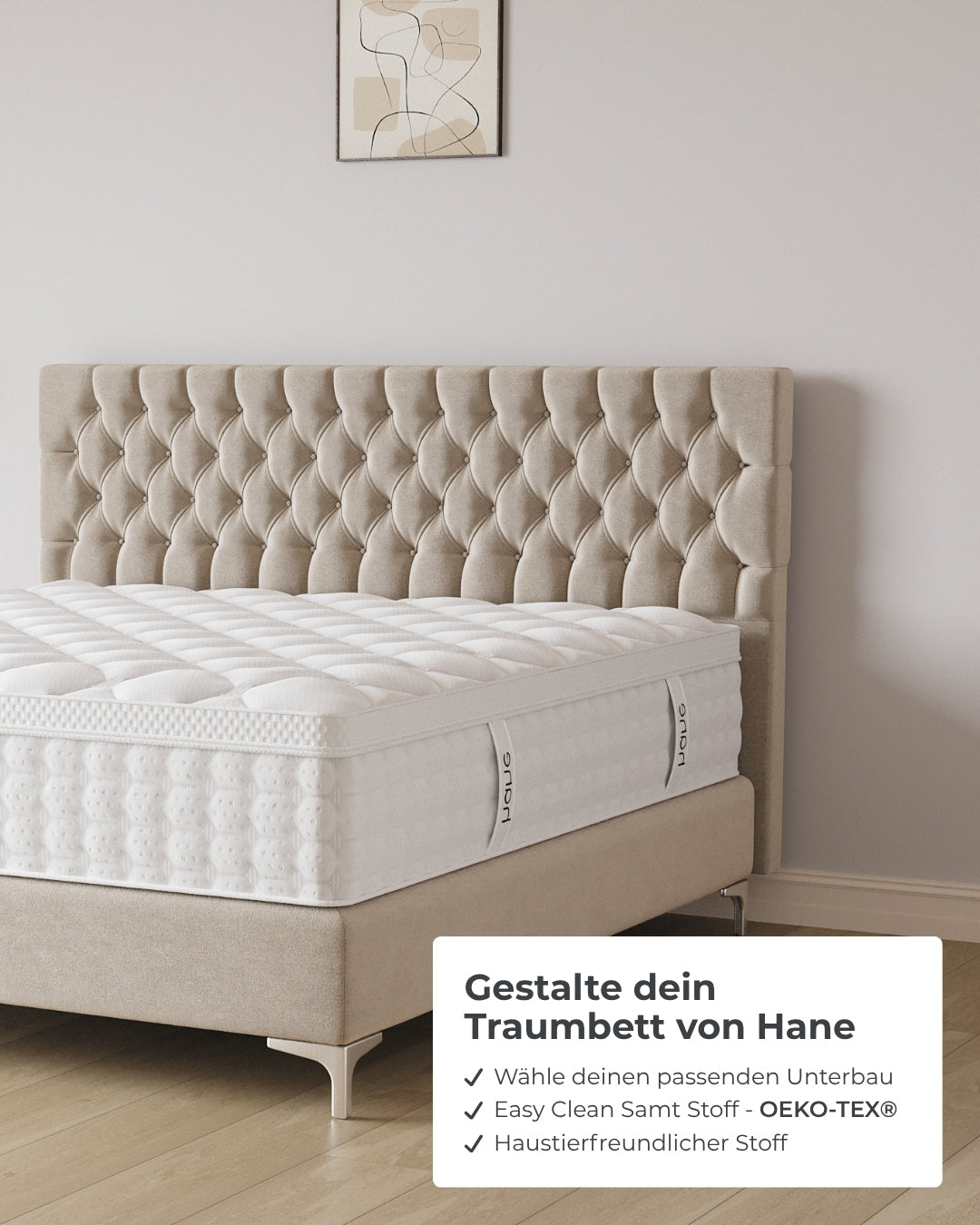 Boxspringbett Chester in Samt