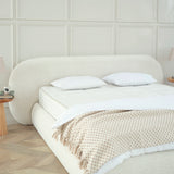 Designer Polsterbett EVORA Teddy Boucle mit Stauraum