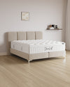 Boxspringbett Monte
