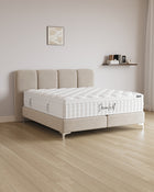 Boxspringbett Monte in Samt