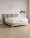 Boxspringbett Monte
