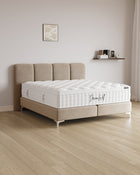 Boxspringbett Monte in Samt