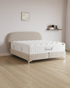 Boxspringbett Moon