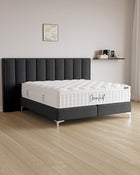 Boxspringbett Passion in Samt