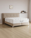 Boxspringbett Soho