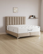 Boxspringbett Vertical in Samt