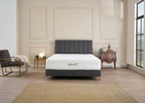 Boxspringbett PARIS - Hane Betten & Matratzen